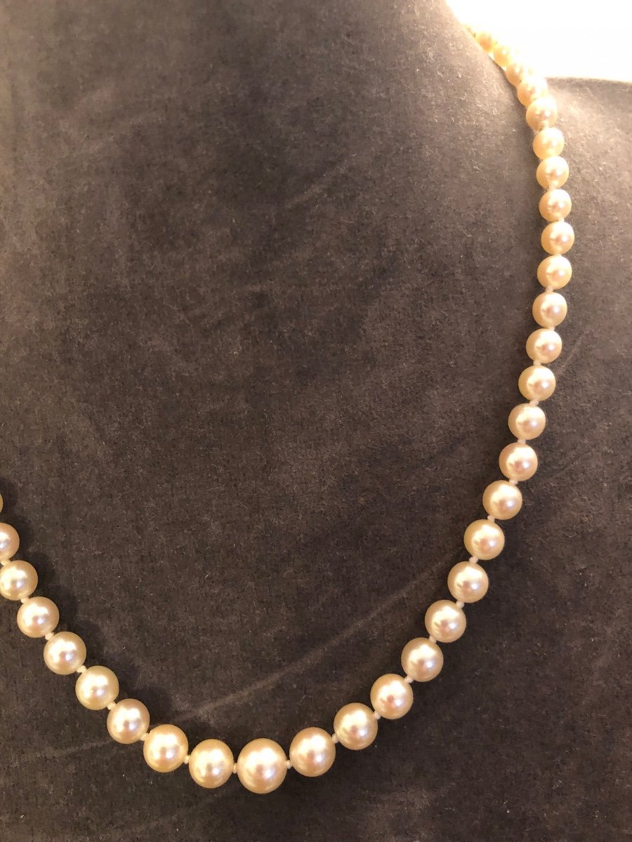 Collier Perles De Culture -photo-3