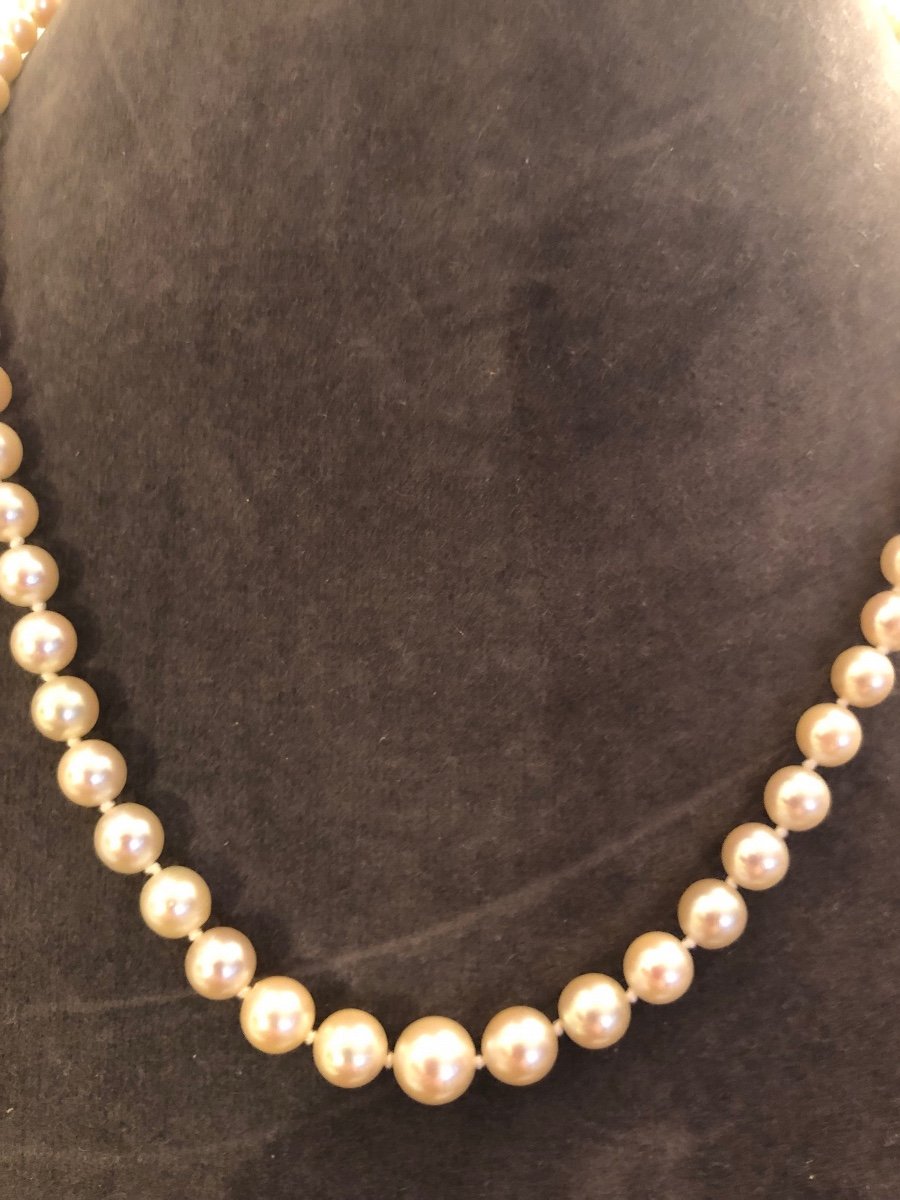 Collier Perles De Culture -photo-4