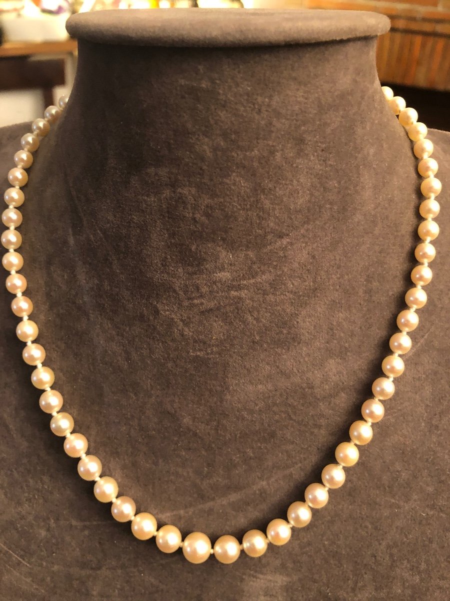 Collier Perles De Culture -photo-2