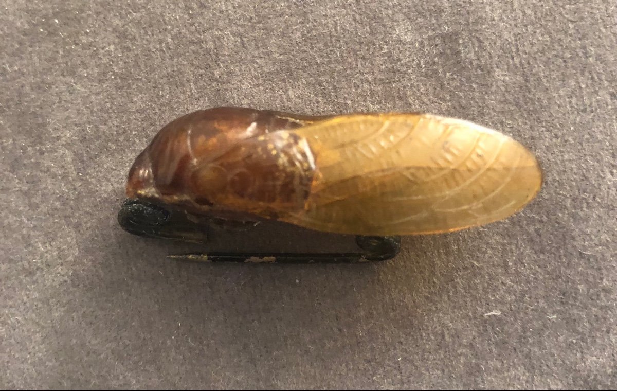 Art Nouveau Celluloid Cicada-photo-2