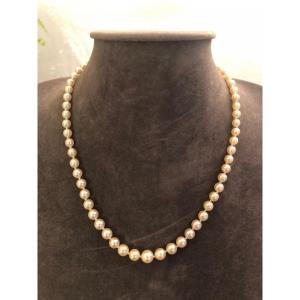 Collier Perles De Culture 