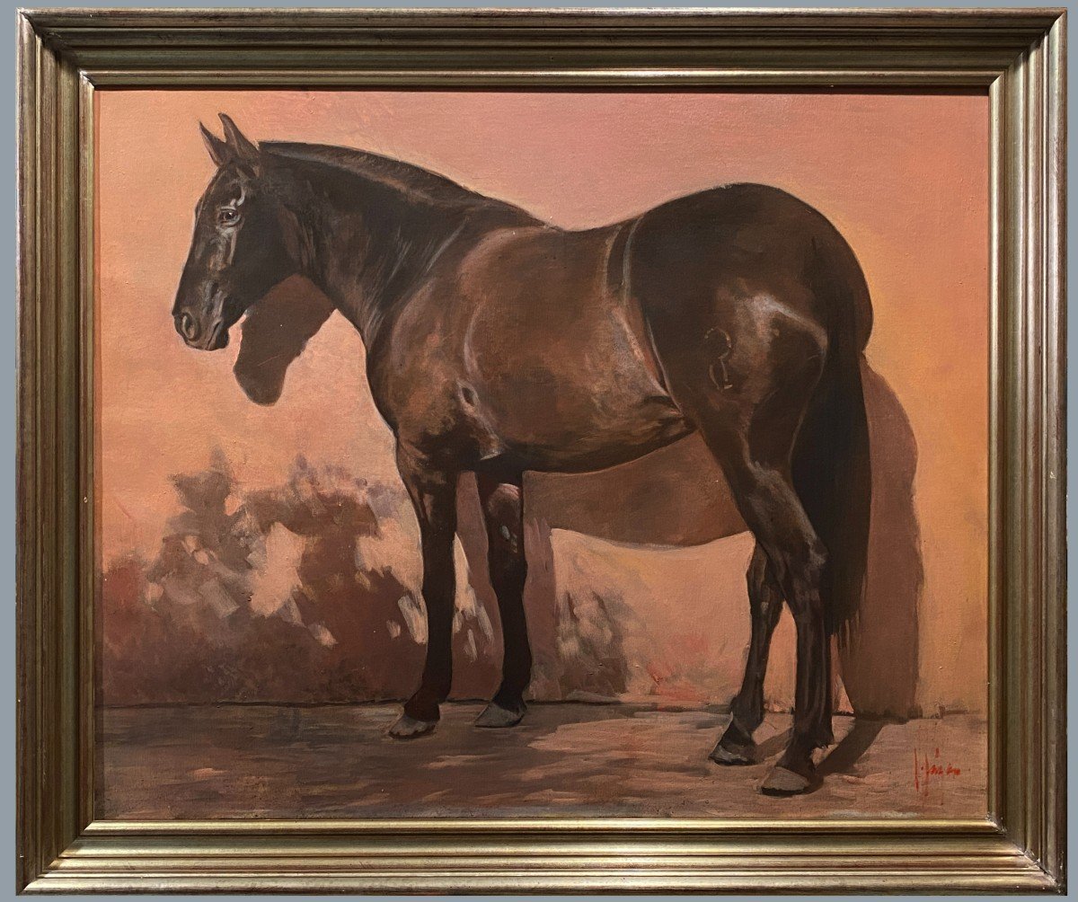 Isidoro Lázaro Ferré (1949) - Racehorse