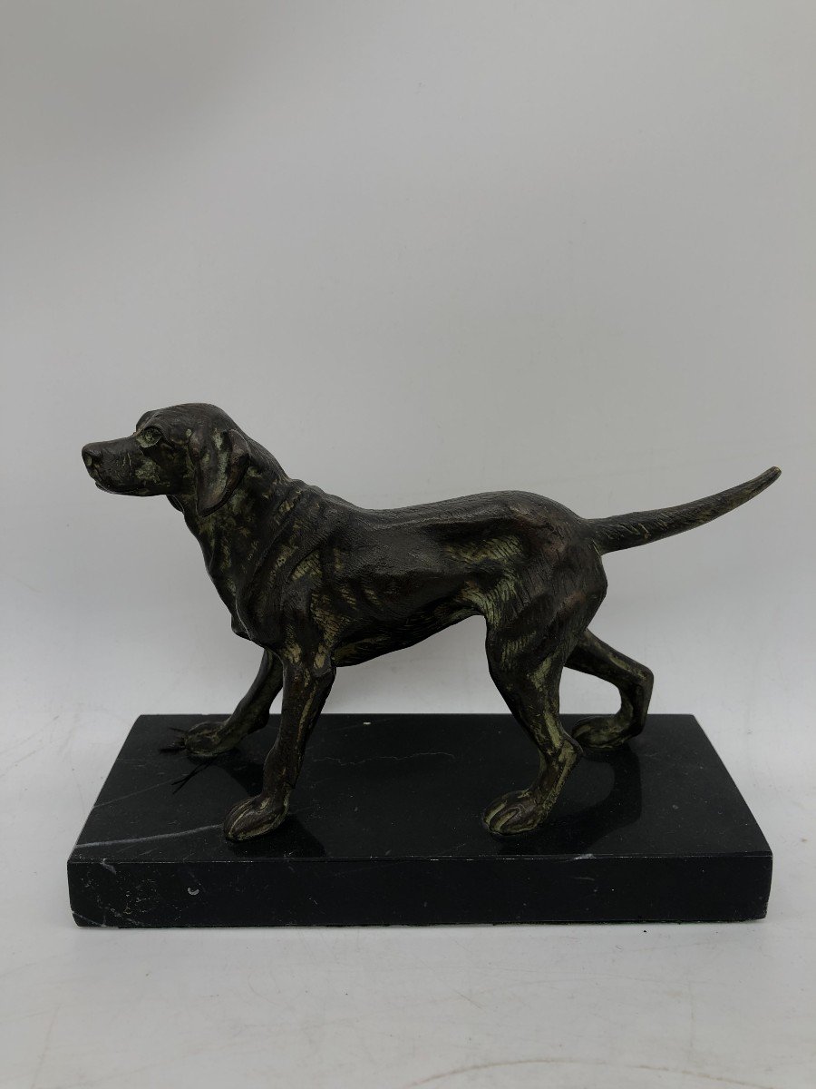 élégant Retriever En Bronze - France, Milieu XXème