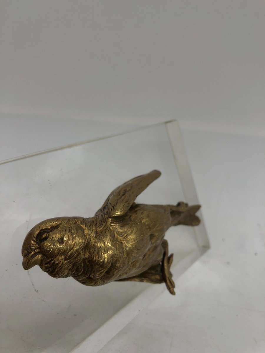 Magnificent Fallen Sparrow In Gilt Bronze (after Colomera) - France, Early 20th Century-photo-3