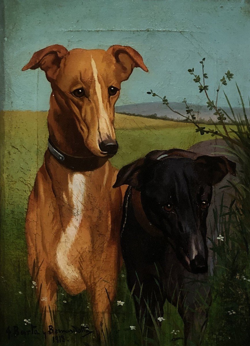 José Barta Y Bemardotta (1875-1955) - Two Greyhounds-photo-3