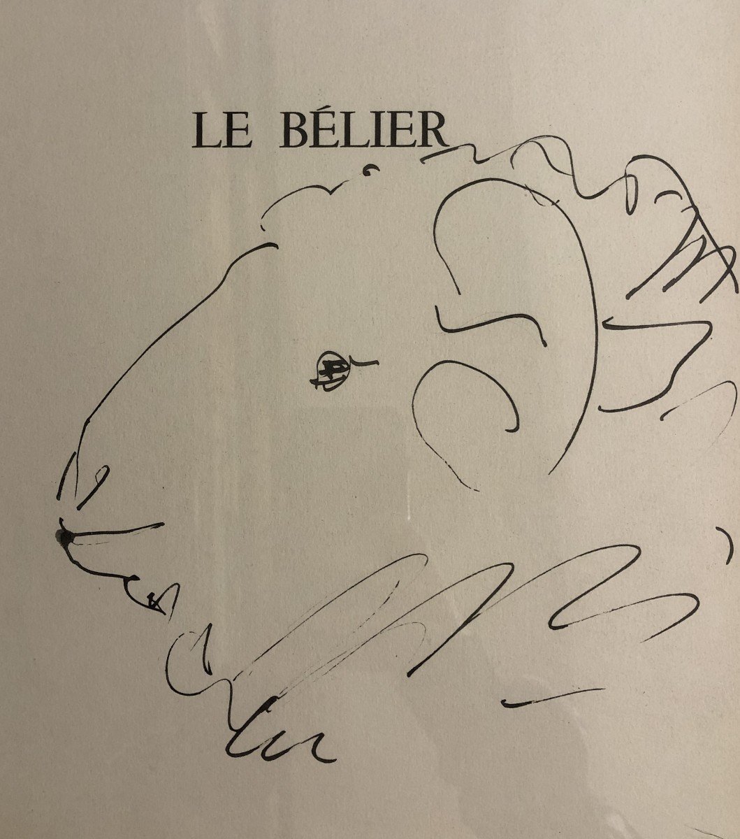 Pablo Picasso (1881-1973) - Le Belier (du Buffon)-photo-2