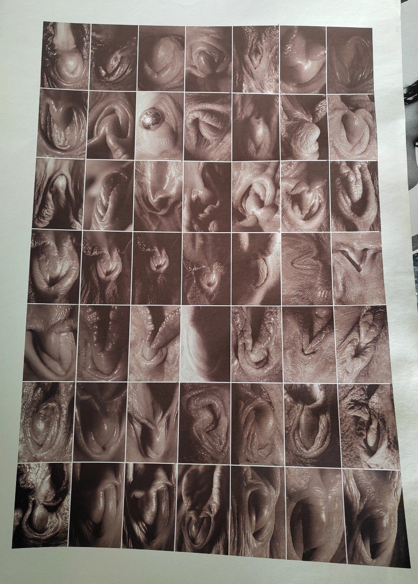 Important Lot Of Artistic Nudes Prints By Etienne Meneau -photo-3