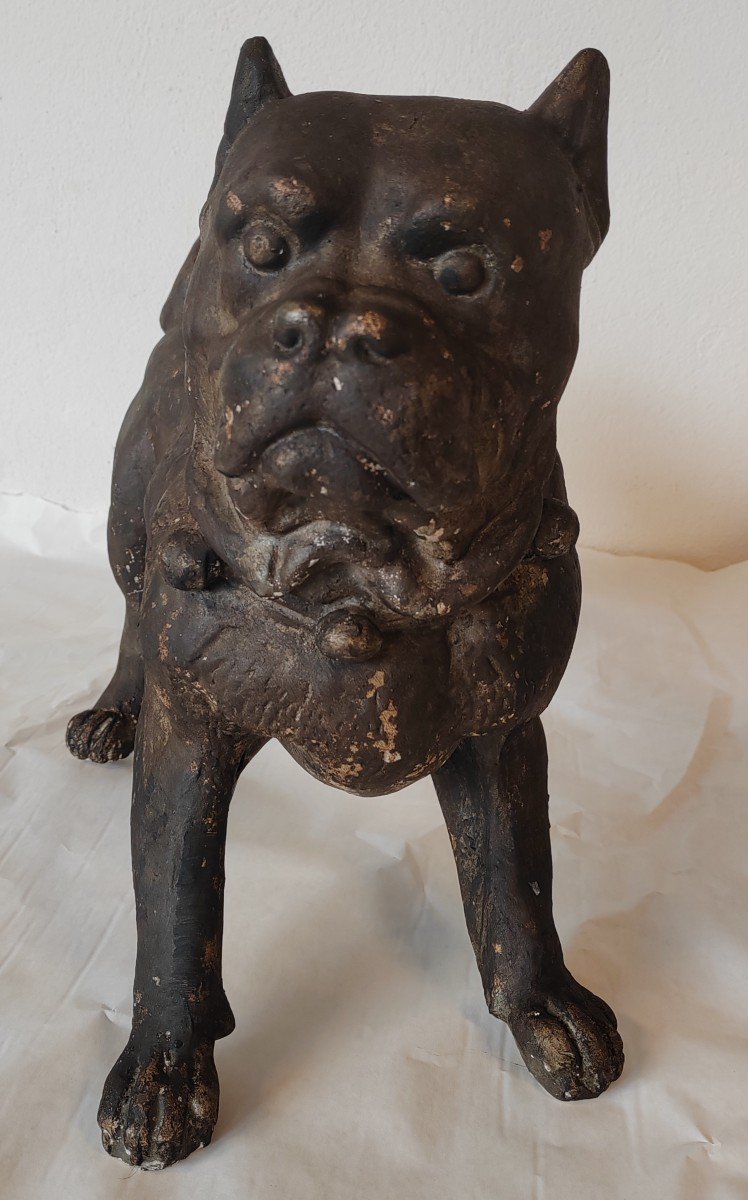 Dogue Sculpture bulldog Chien Plâtre Patine Bronze-photo-2