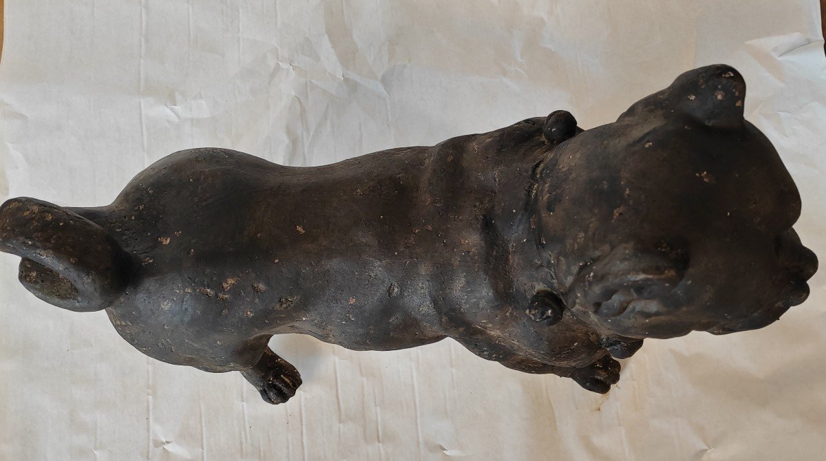 Dogue Sculpture bulldog Chien Plâtre Patine Bronze-photo-3