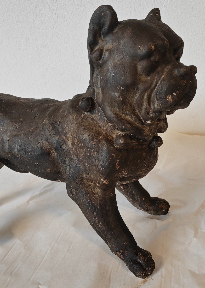 Dogue Sculpture bulldog Chien Plâtre Patine Bronze-photo-1