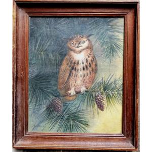 Animal Portrait Of The Medium-length Owl Charles Beilard 