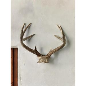Deer Antler Decoration