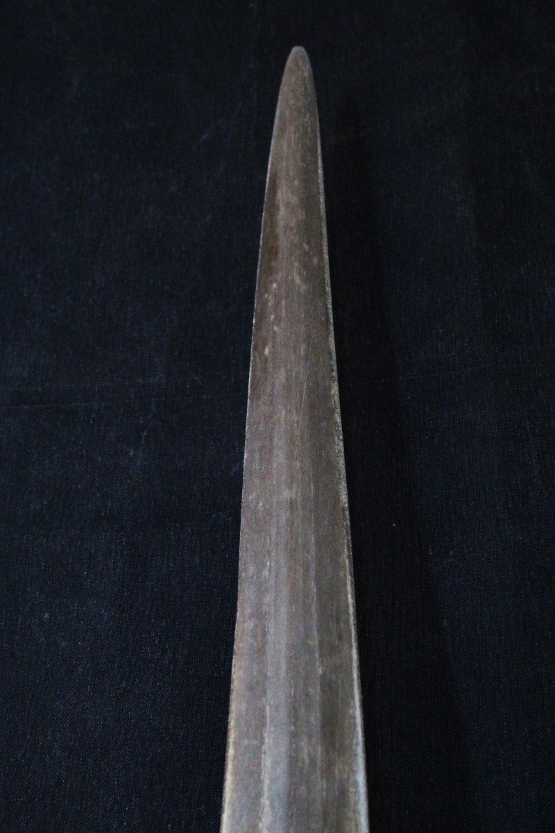 Swordfish Rostrum, 72 Cm, On Wooden Stand. Naturalia, Wunderkammer-photo-3