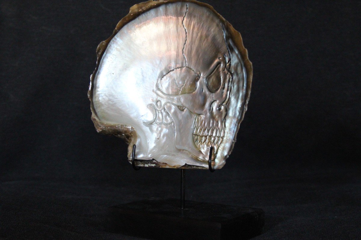 Carved Skull On Pinctada Maxima Mother Of Pearl Shell– Custom Stand-photo-3