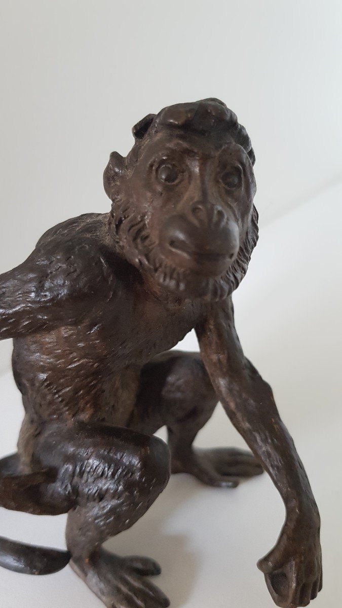 Bronze Monkey From Vienna 19th