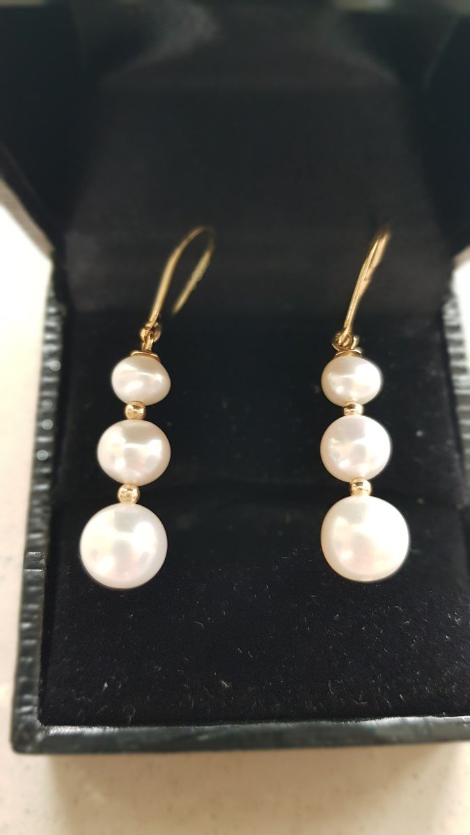 Gold And Pearl Drop Earrings