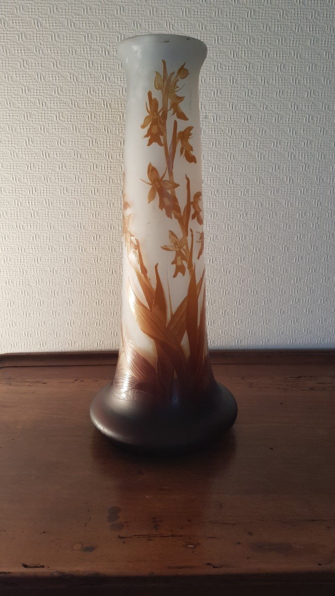 Iris Galle Vase