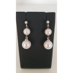 Gold And Pearl Drop Earrings