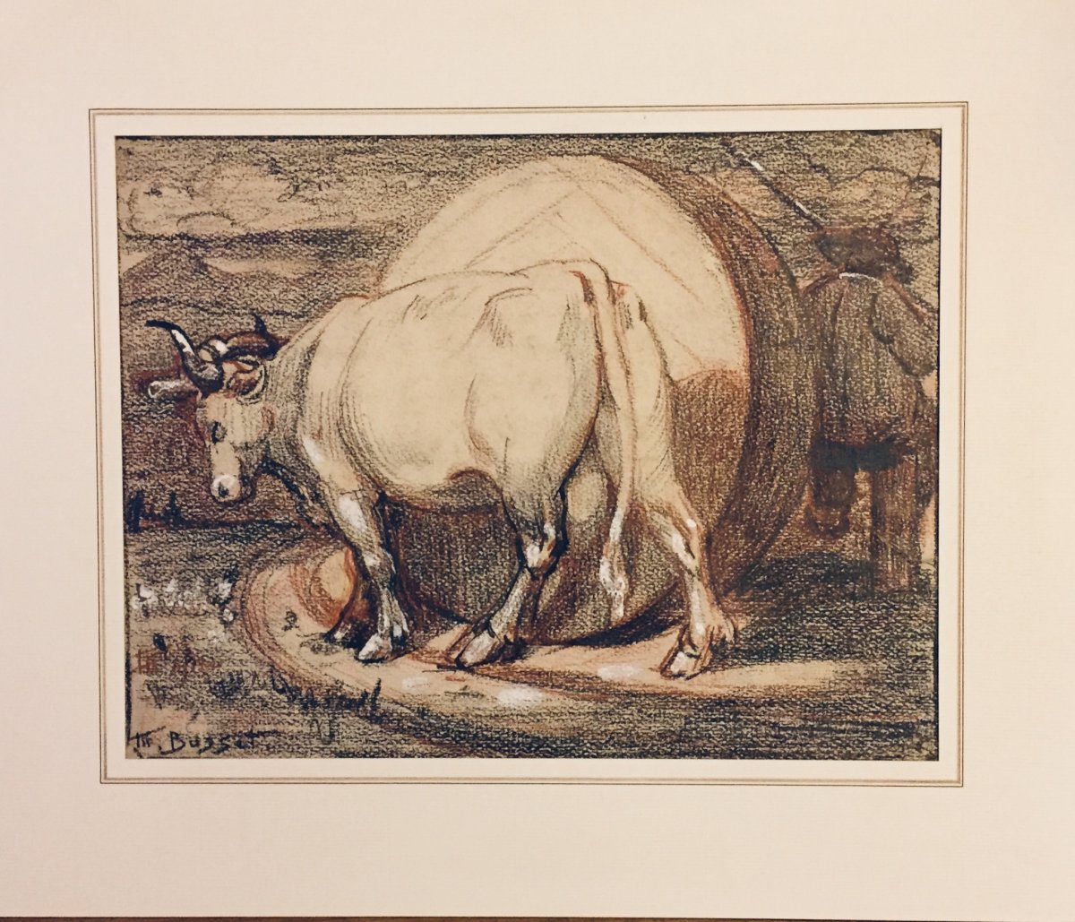 Dessin Maurice Busset : Vache Et Meule. Ecole De Murols