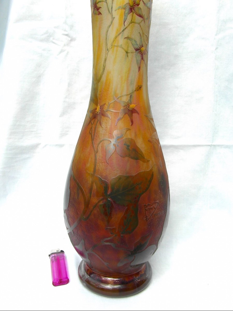 Beautiful Large Daum Vase Decorated With Solanaceae 48 Cm Era Galle 1900-photo-4