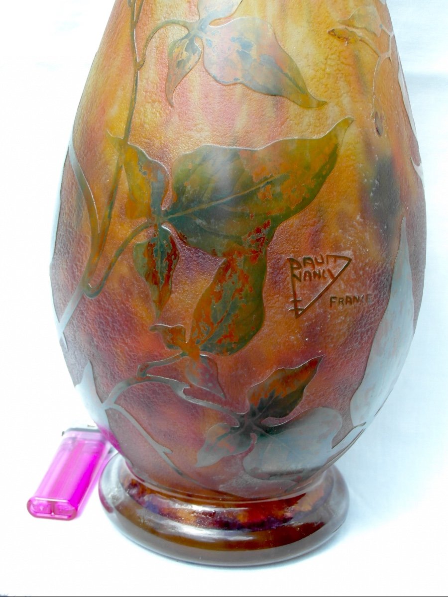 Beautiful Large Daum Vase Decorated With Solanaceae 48 Cm Era Galle 1900-photo-7