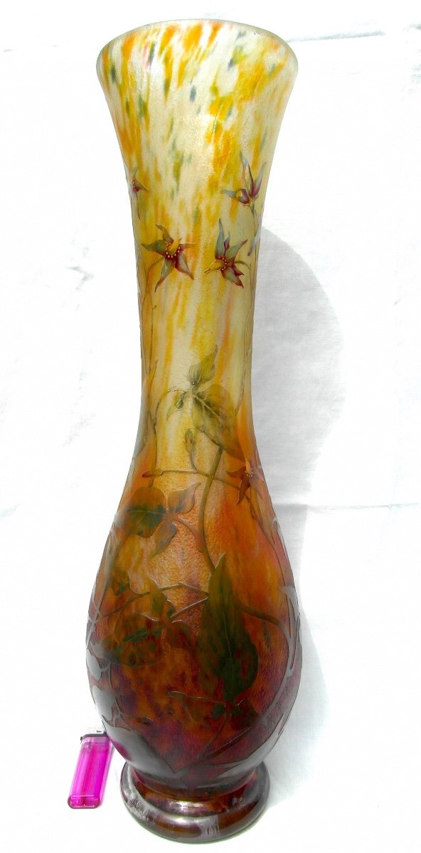 Beautiful Large Daum Vase Decorated With Solanaceae 48 Cm Era Galle 1900