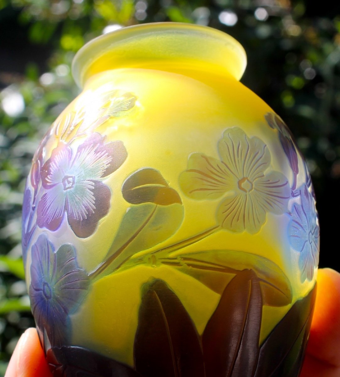 Charming Galle Vase With Primroses, Perfect, Beautiful Colors, Era Daum 1900-photo-5