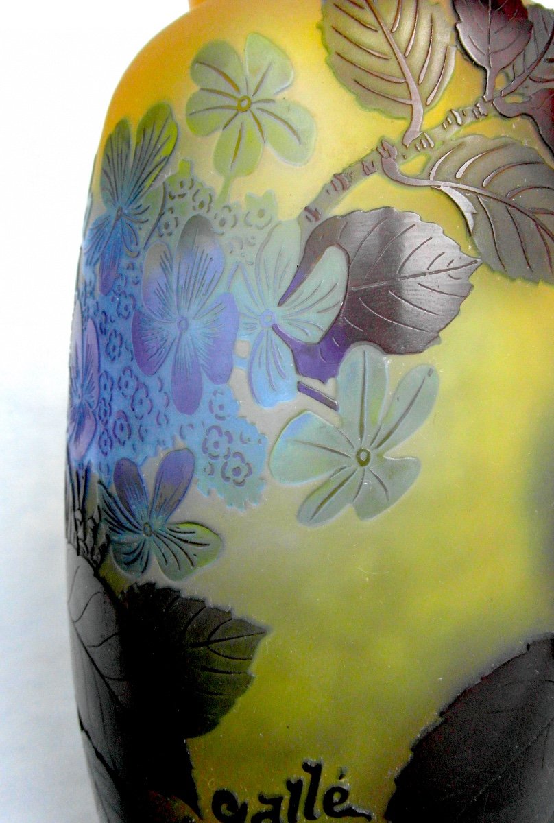 Beau Vase Galle Aux Myosotis Bleus, Parfait, 21 Cm, Era Daum 1900 Art-nouveau-photo-2