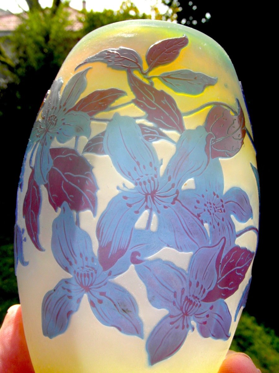 Vase Galle Aux Clématites Bleues, Forme Tonneau, Era Daum 1900 Art-nouveau, Vives Couleurs-photo-6