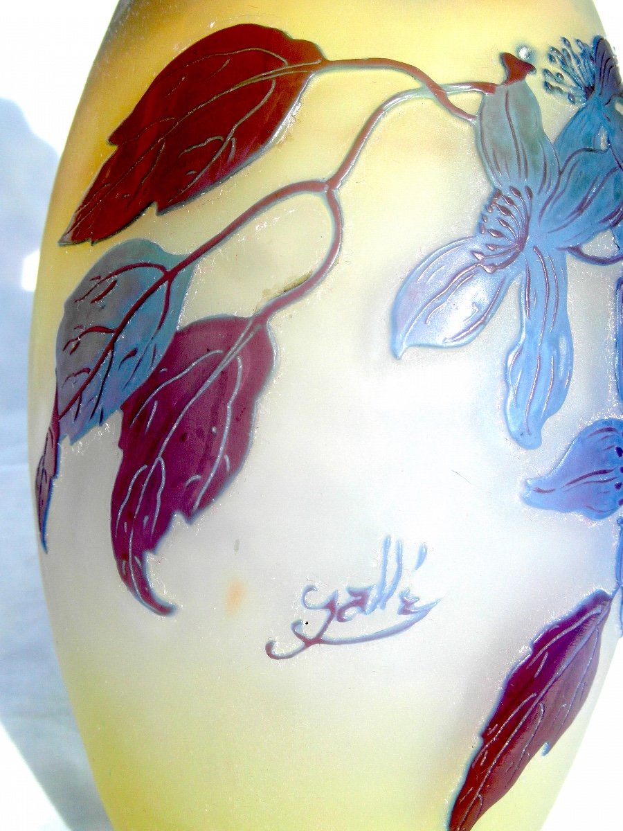 Vase Galle Aux Clématites Bleues, Forme Tonneau, Era Daum 1900 Art-nouveau, Vives Couleurs-photo-8