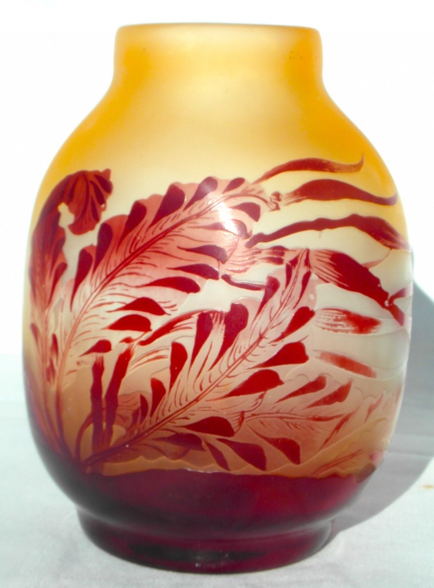 Joli Vase Galle Au Fond Marin, Décor "algues", Parfait , Era Daum Art-nouveau 1900-photo-3