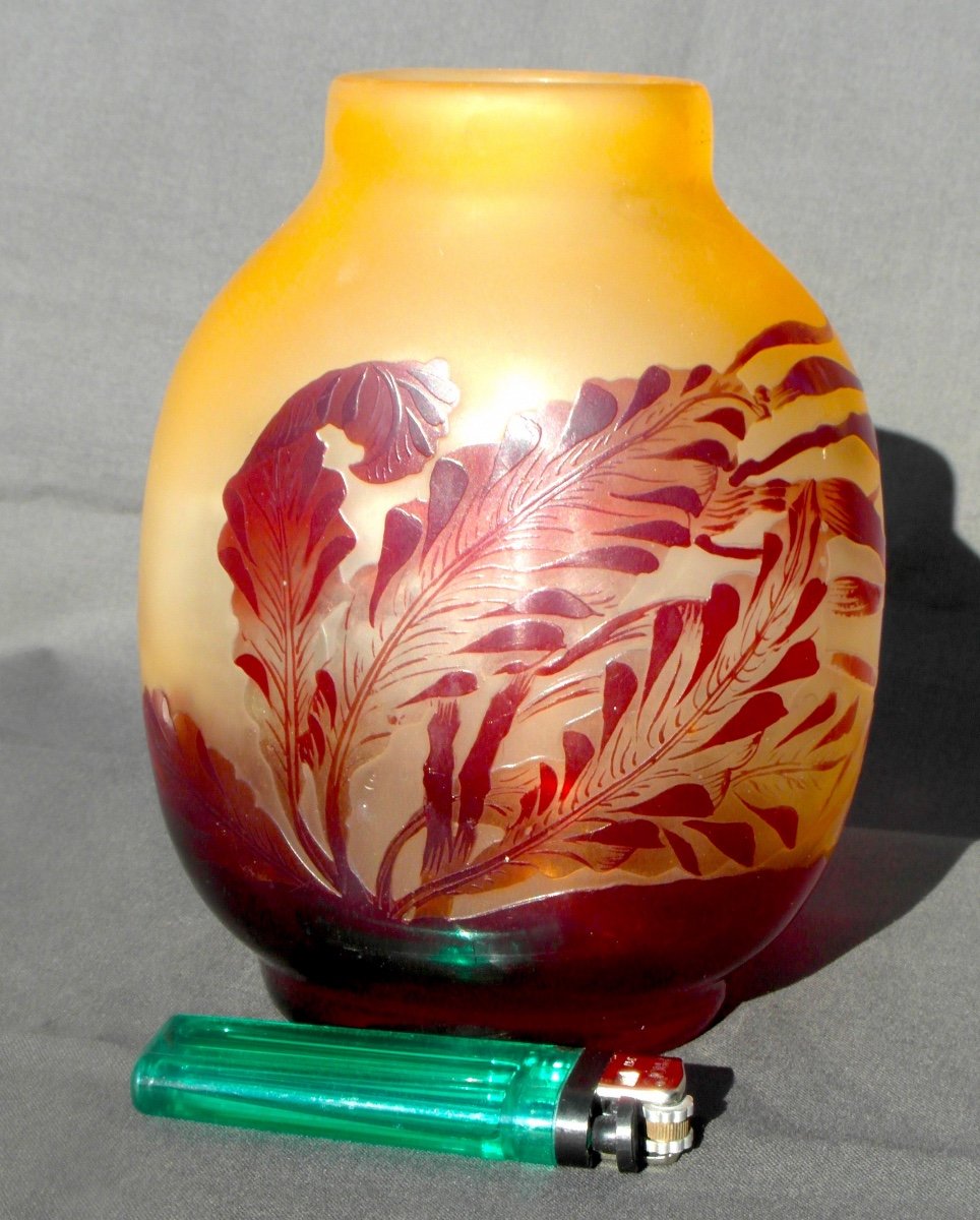 Joli Vase Galle Au Fond Marin, Décor "algues", Parfait , Era Daum Art-nouveau 1900-photo-4