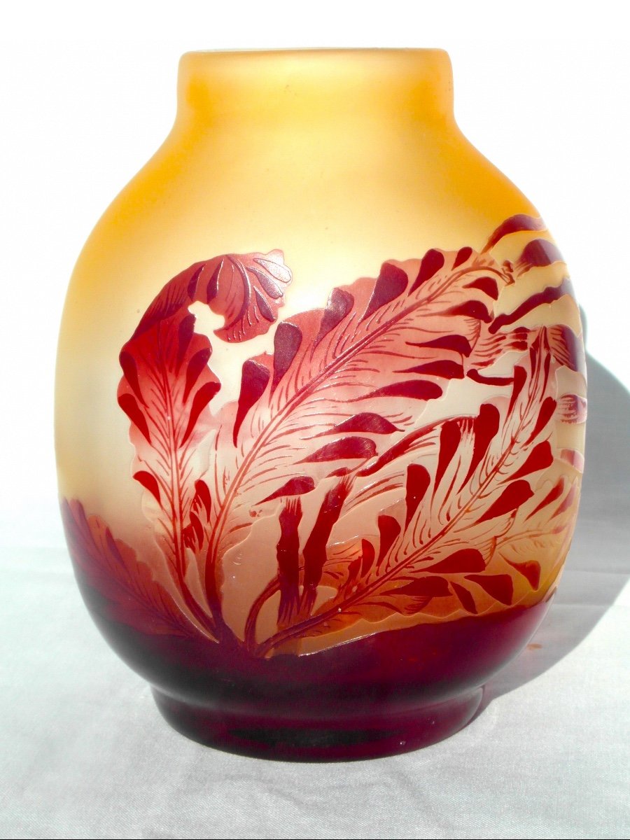 Vase Galle Au Fond Marin, Décor "algues", Parfait , Era Daum Art-nouveau 1900