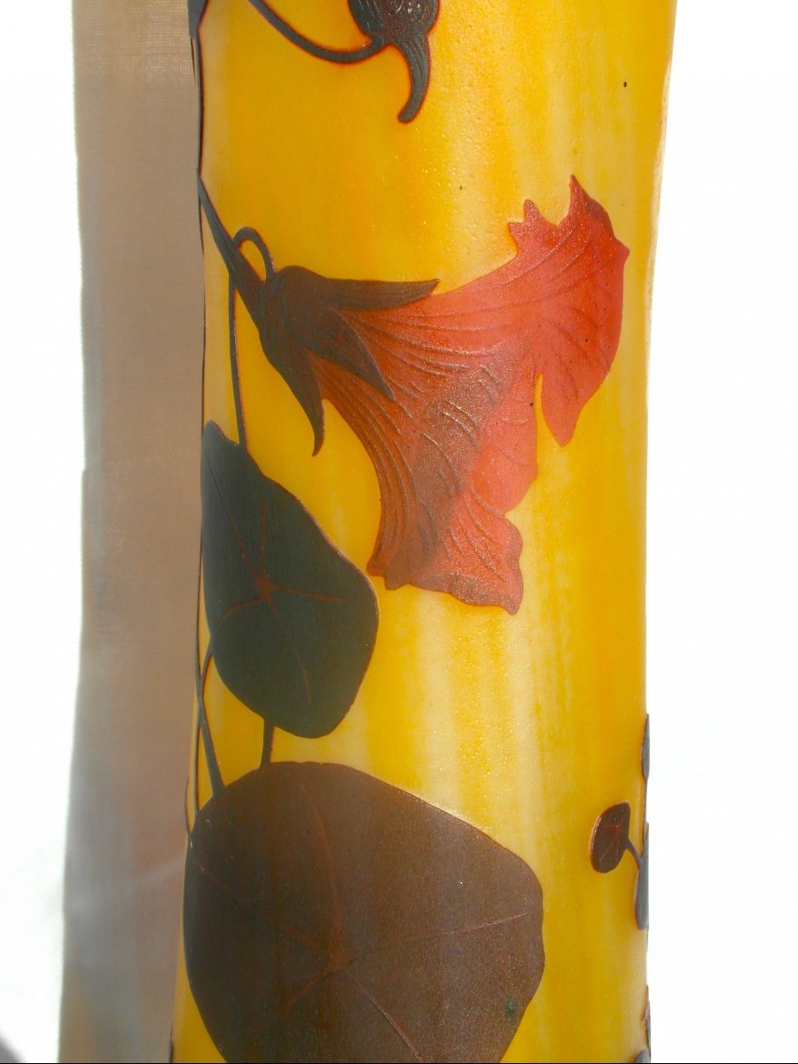 Superbe Et Monumental Vase Daum Au Capucines, 52 Cm, Parfait, Era Galle 1900-photo-3