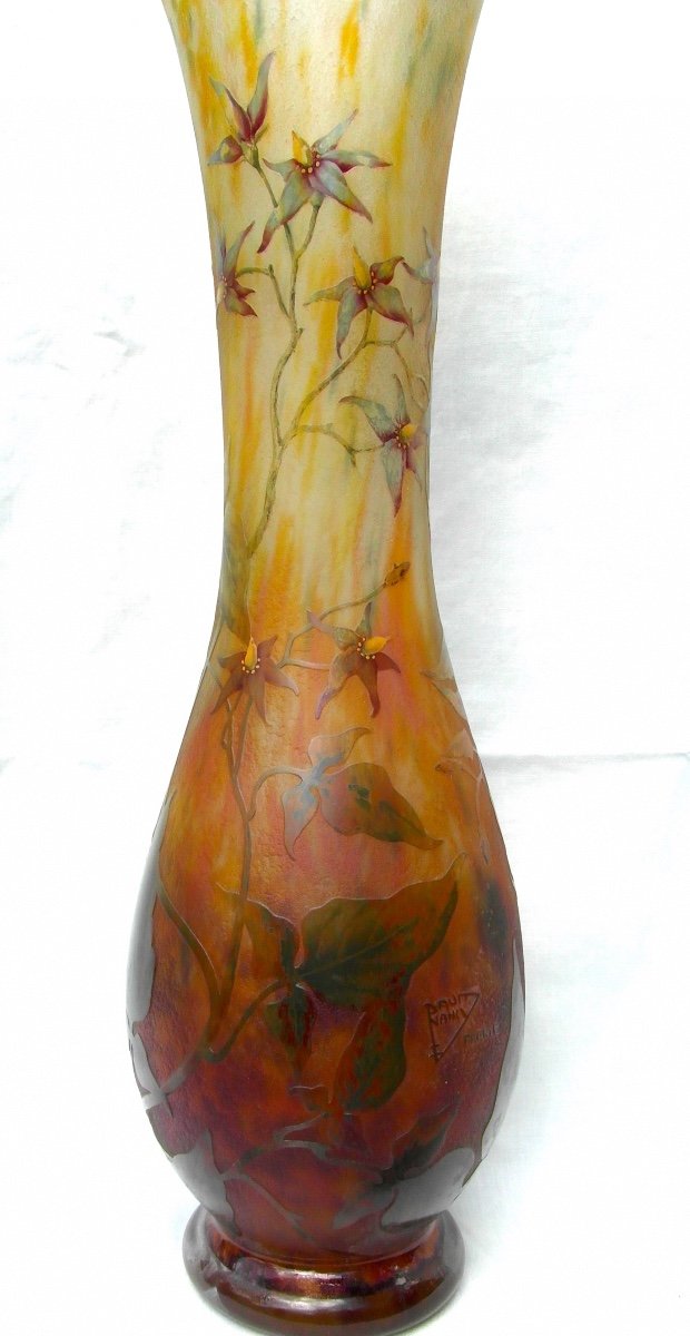 Large Daum Vase With Engraved Solanaceae Decor, 48 Cm, Galle Era 1900-photo-4