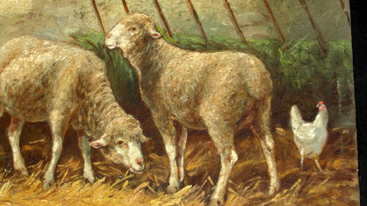 Charming Oil On Panel "sheep" By Philippe Albin De Buncey-photo-2