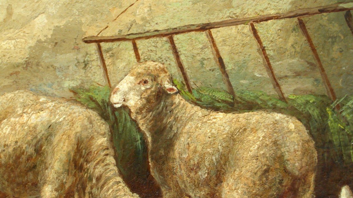 Charming Oil On Panel "sheep" By Philippe Albin De Buncey-photo-3