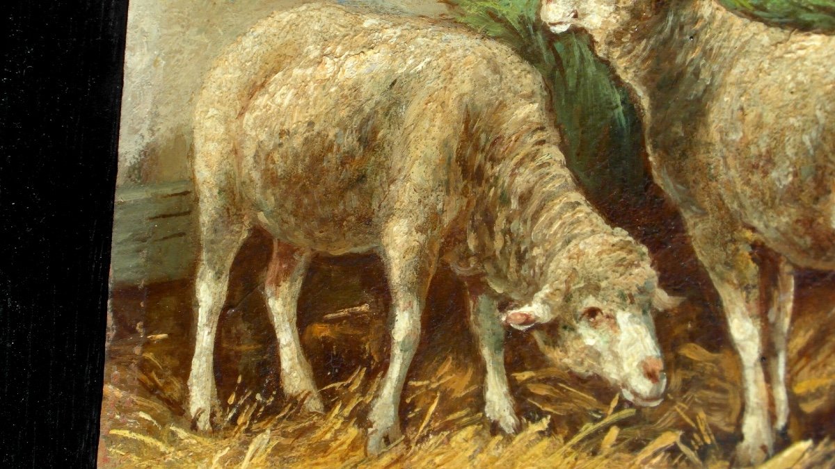 Charming Oil On Panel "sheep" By Philippe Albin De Buncey-photo-1