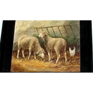 Charming Oil On Panel "sheep" By Philippe Albin De Buncey
