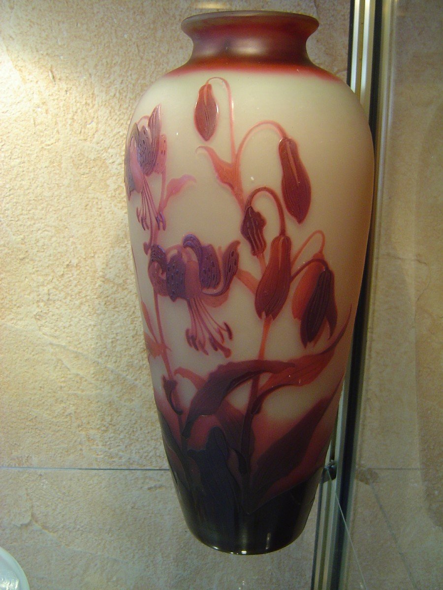 D Argental Paul Nicolas Cameo Glass Vase-photo-2