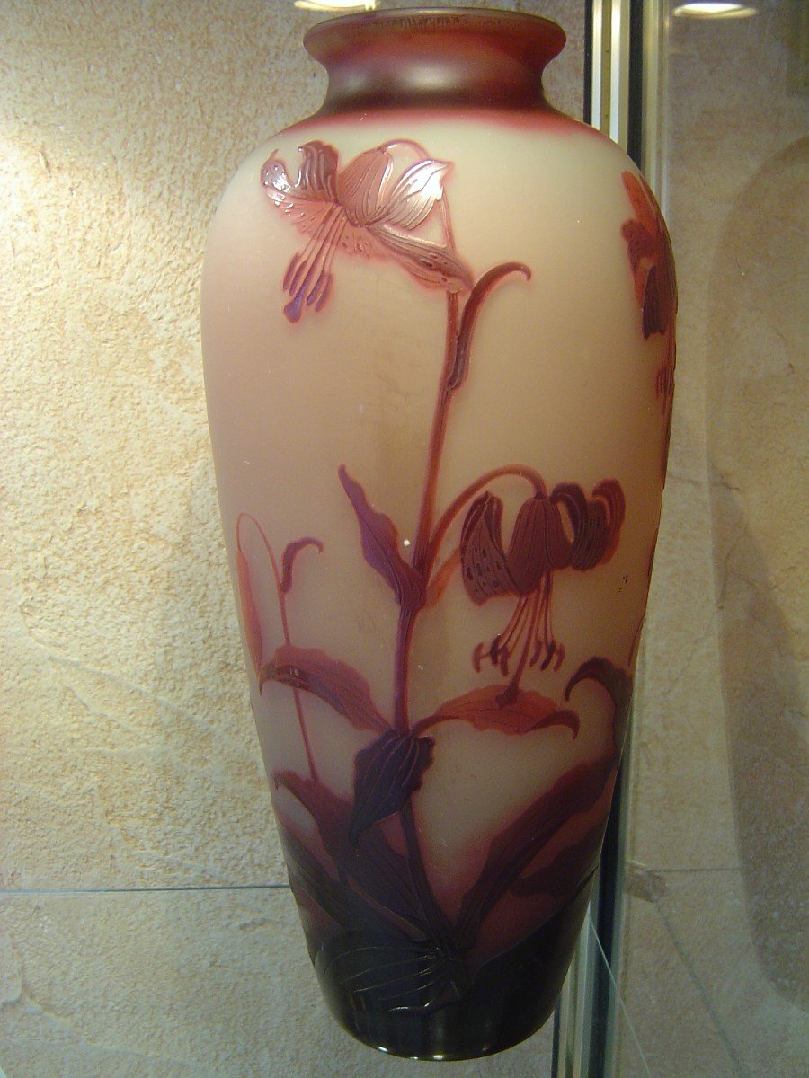 D Argental Paul Nicolas Cameo Glass Vase-photo-3