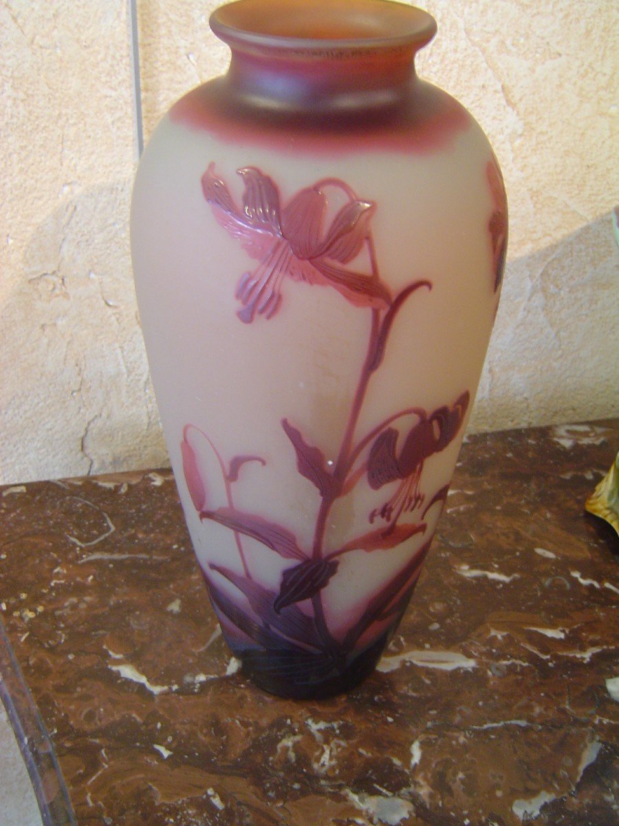 D Argental Paul Nicolas Cameo Glass Vase-photo-2