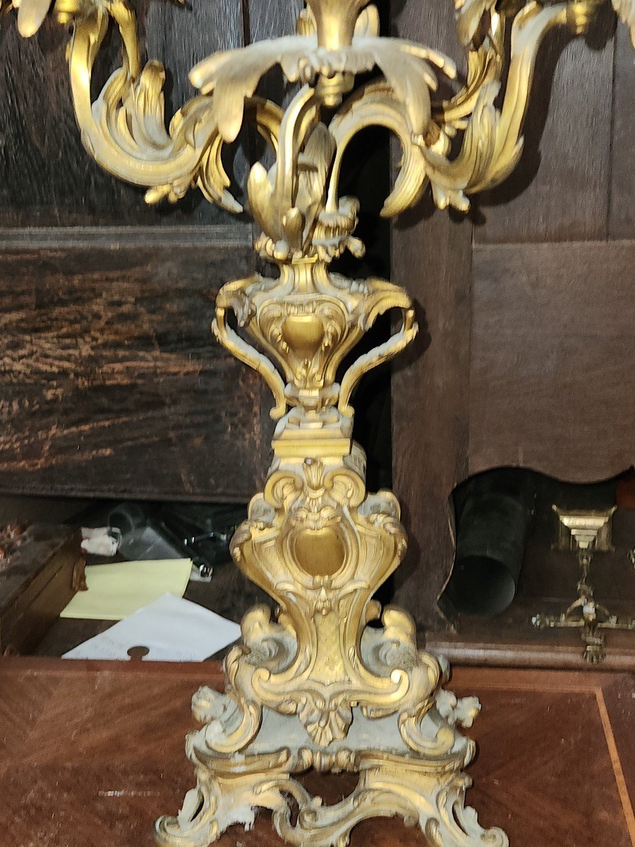 Paire De Grands Candélabres En Bronze Louis XV d'époque Napoléon III à 6 Bras De Lumière -photo-3