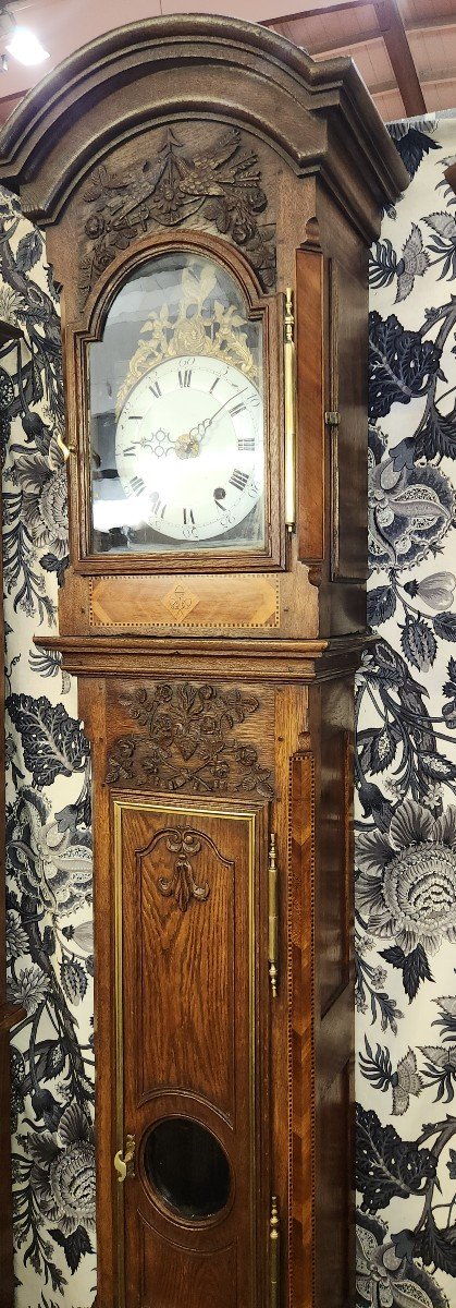 Lorraine Carved And Marquetry Longcase Clock, Late 18th/early 19th Century 