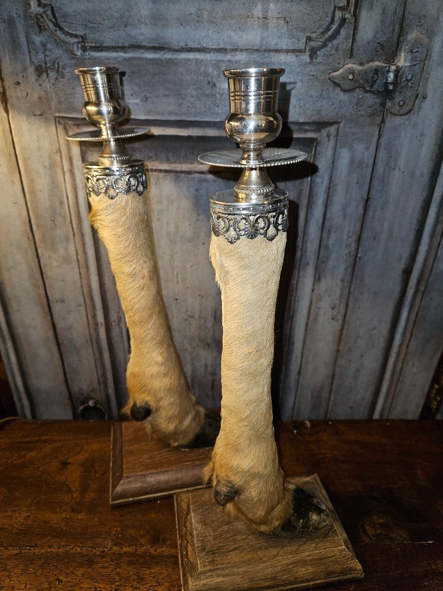 Pair Of Pate De Biches Candlesticks -photo-2