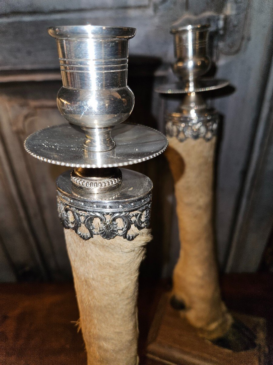 Pair Of Pate De Biches Candlesticks -photo-4