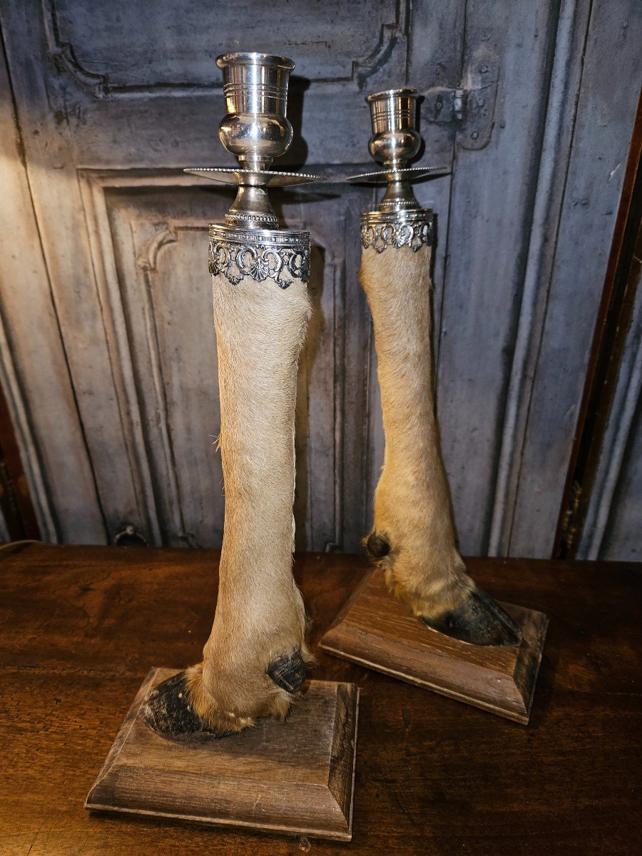 Pair Of Pate De Biches Candlesticks 