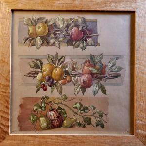 Anonymous Late 19th Century "plant Study" Watercolor And Gouache - Circa 1900 - Work On Display