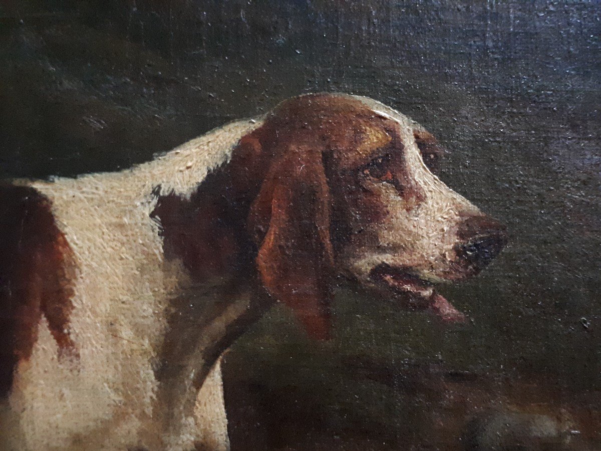 M. Guillebert Oil On Canvas Portrait Hunting Dogs Braques Saint-germain-photo-5