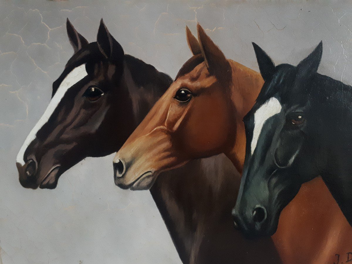 Oil On Canvas Portrait Of Horses Horse J. David-photo-2